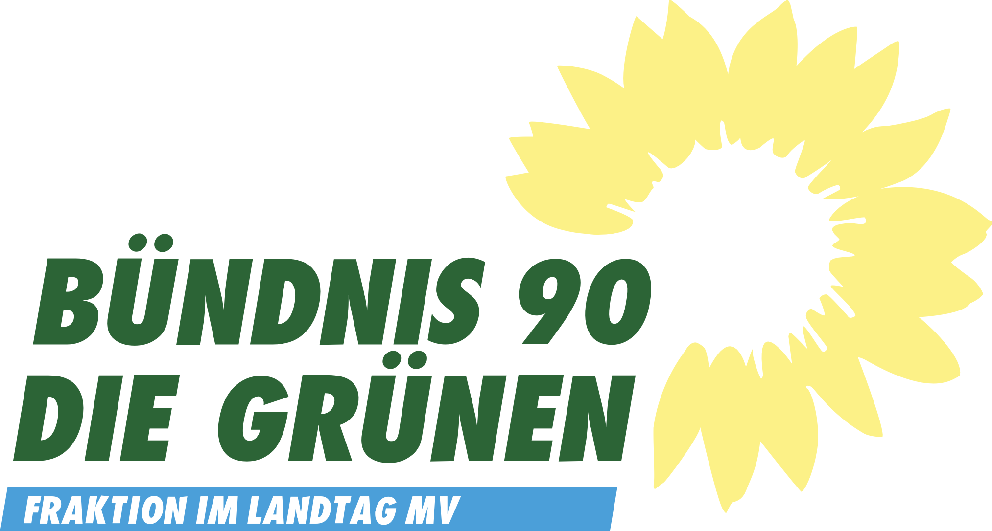 Bündnis 90 die Grünen MV